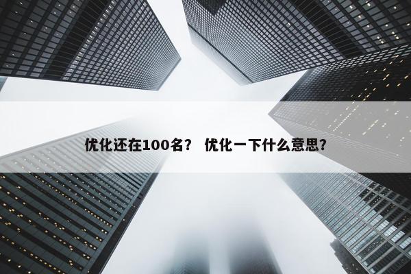 优化还在100名？ 优化一下什么意思？