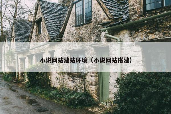 小说网站建站环境（小说网站搭建）