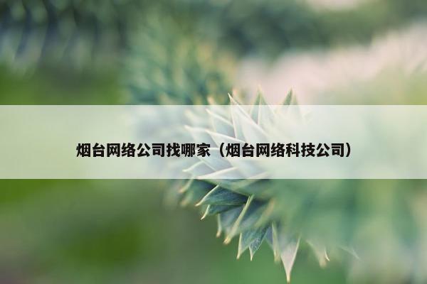 烟台网络公司找哪家（烟台网络科技公司）