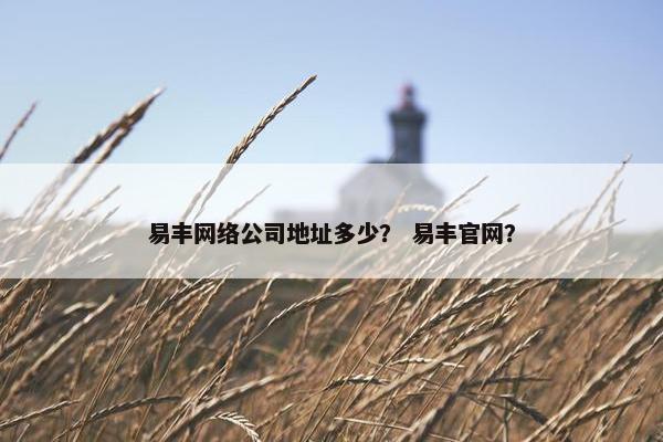 易丰网络公司地址多少？ 易丰官网？
