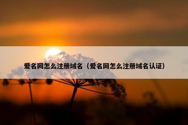 爱名网怎么注册域名（爱名网怎么注册域名认证）