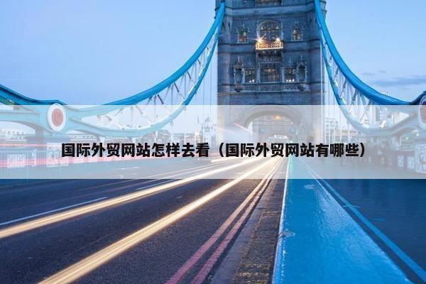 国际外贸网站怎样去看（国际外贸网站有哪些）