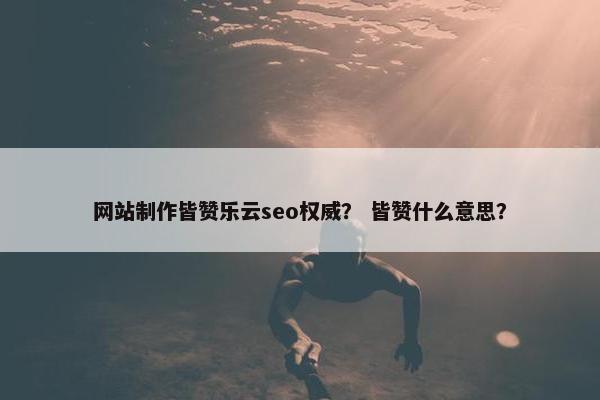 网站制作皆赞乐云seo权威？ 皆赞什么意思？