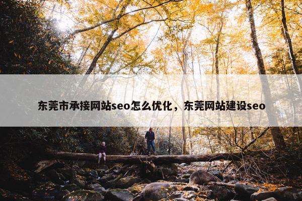 东莞市承接网站seo怎么优化，东莞网站建设seo