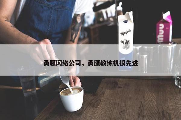 勇鹰网络公司，勇鹰教练机很先进