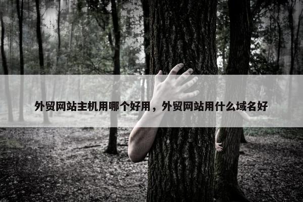 外贸网站主机用哪个好用，外贸网站用什么域名好