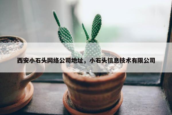 西安小石头网络公司地址，小石头信息技术有限公司