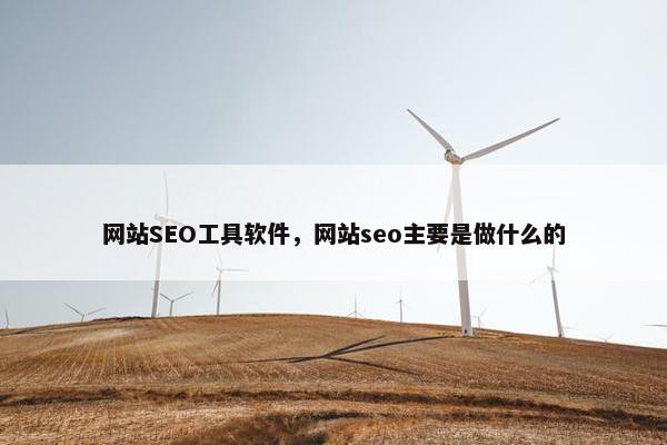 网站SEO工具软件，网站seo主要是做什么的
