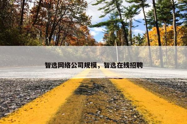 智选网络公司规模，智选在线招聘
