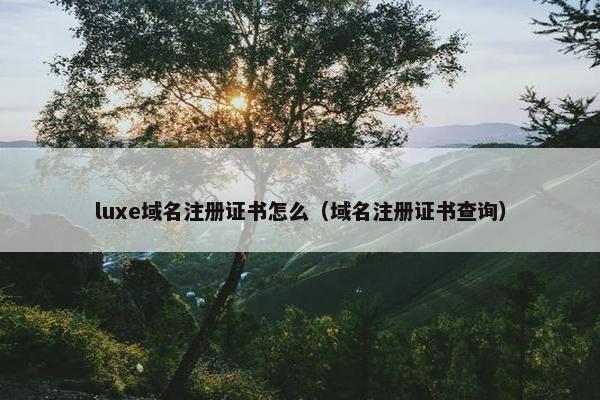 luxe域名注册证书怎么（域名注册证书查询）