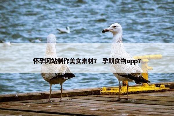 怀孕网站制作美食素材？ 孕期食物app？