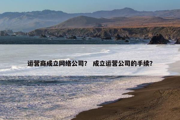 运营商成立网络公司？ 成立运营公司的手续？