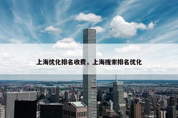 上海优化排名收费，上海搜索排名优化