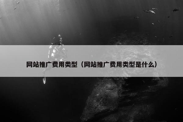 网站推广费用类型（网站推广费用类型是什么）
