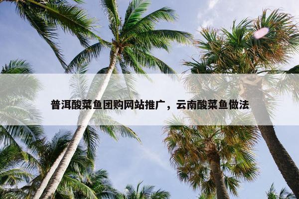 普洱酸菜鱼团购网站推广，云南酸菜鱼做法