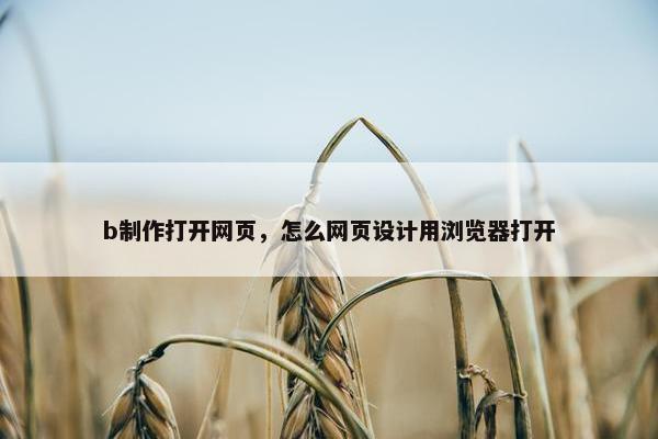 b制作打开网页，怎么网页设计用浏览器打开