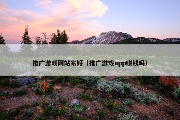 推广游戏网站家好（推广游戏app赚钱吗）
