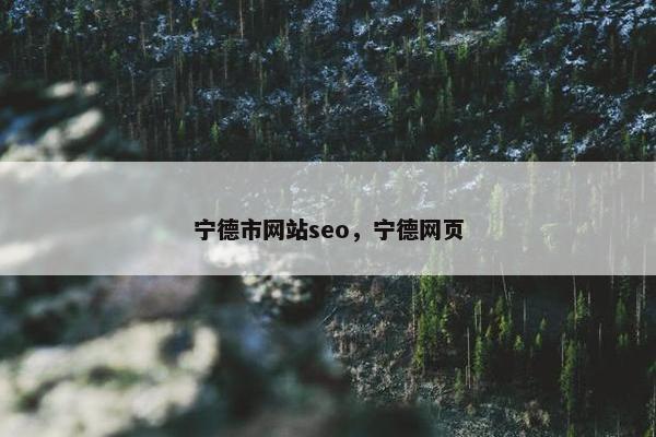 宁德市网站seo，宁德网页