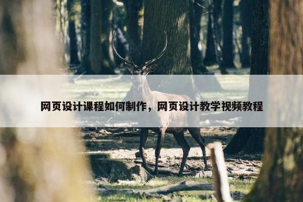 网页设计课程如何制作，网页设计教学视频教程