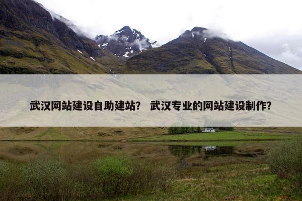 武汉网站建设自助建站？ 武汉专业的网站建设制作？