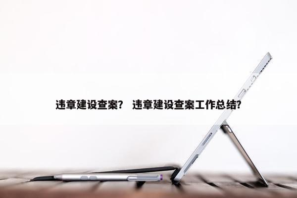 违章建设查案？ 违章建设查案工作总结？