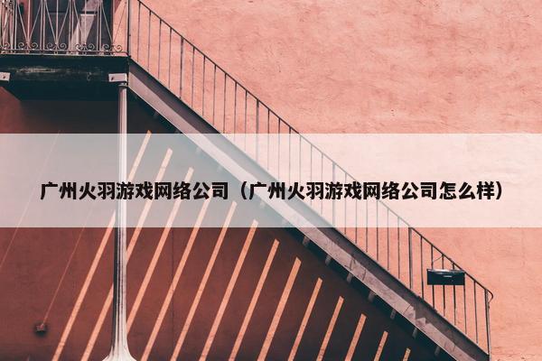 广州火羽游戏网络公司（广州火羽游戏网络公司怎么样）