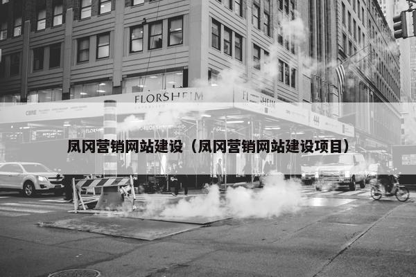 凤冈营销网站建设（凤冈营销网站建设项目）