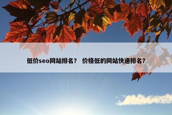 低价seo网站排名？ 价格低的网站快速排名？