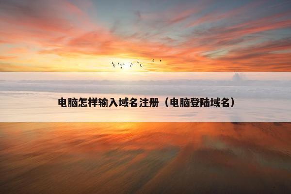 电脑怎样输入域名注册（电脑登陆域名）