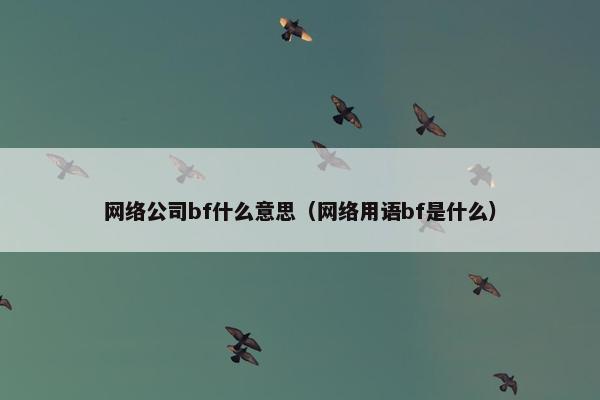 网络公司bf什么意思（网络用语bf是什么）