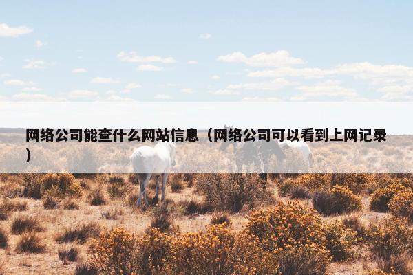网络公司能查什么网站信息（网络公司可以看到上网记录）