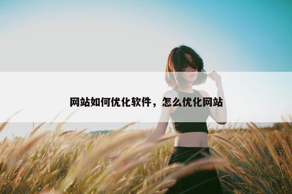 网站如何优化软件，怎么优化网站
