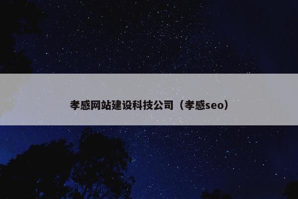 孝感网站建设科技公司（孝感seo）