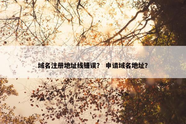 域名注册地址线错误？ 申请域名地址？
