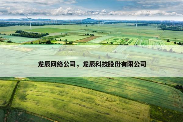 龙辰网络公司，龙辰科技股份有限公司