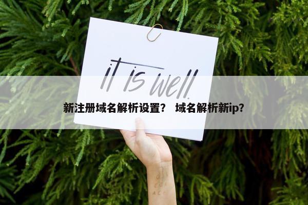 新注册域名解析设置？ 域名解析新ip？