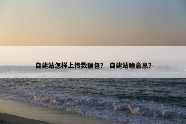 自建站怎样上传数据包？ 自建站啥意思？