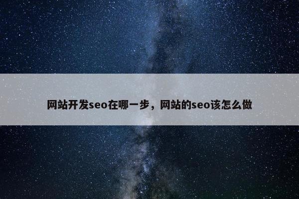 网站开发seo在哪一步，网站的seo该怎么做