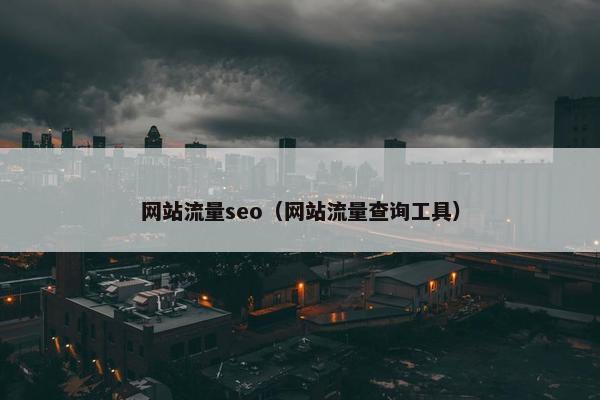 网站流量seo（网站流量查询工具）