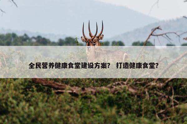 全民营养健康食堂建设方案？ 打造健康食堂？