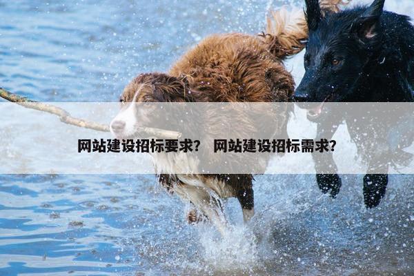 网站建设招标要求？ 网站建设招标需求？