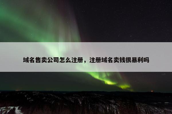域名售卖公司怎么注册，注册域名卖钱很暴利吗