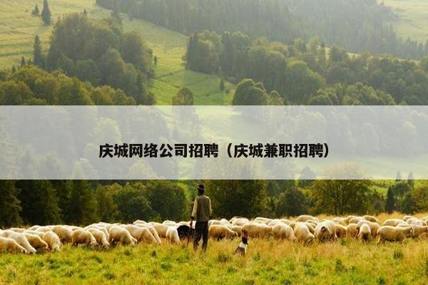庆城网络公司招聘（庆城兼职招聘）
