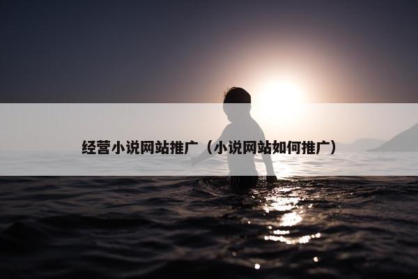 经营小说网站推广（小说网站如何推广）