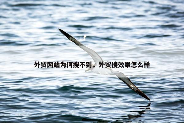 外贸网站为何搜不到，外贸搜效果怎么样