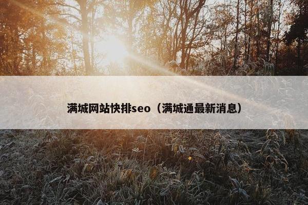 满城网站快排seo（满城通最新消息）
