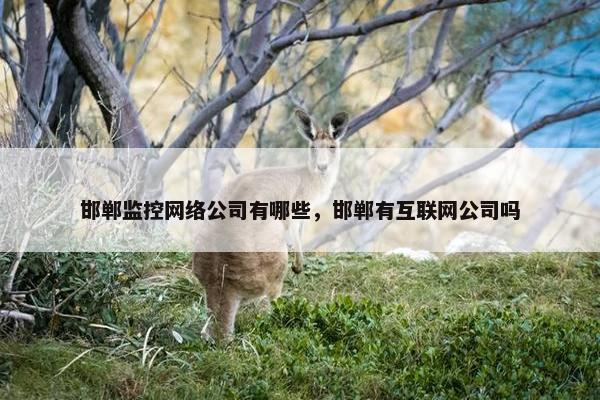 邯郸监控网络公司有哪些，邯郸有互联网公司吗