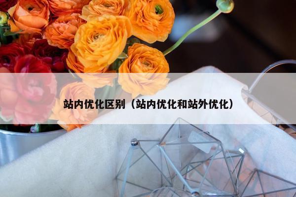 站内优化区别（站内优化和站外优化）
