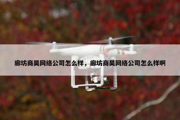 廊坊商昊网络公司怎么样，廊坊商昊网络公司怎么样啊