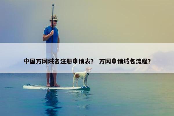 中国万网域名注册申请表？ 万网申请域名流程？